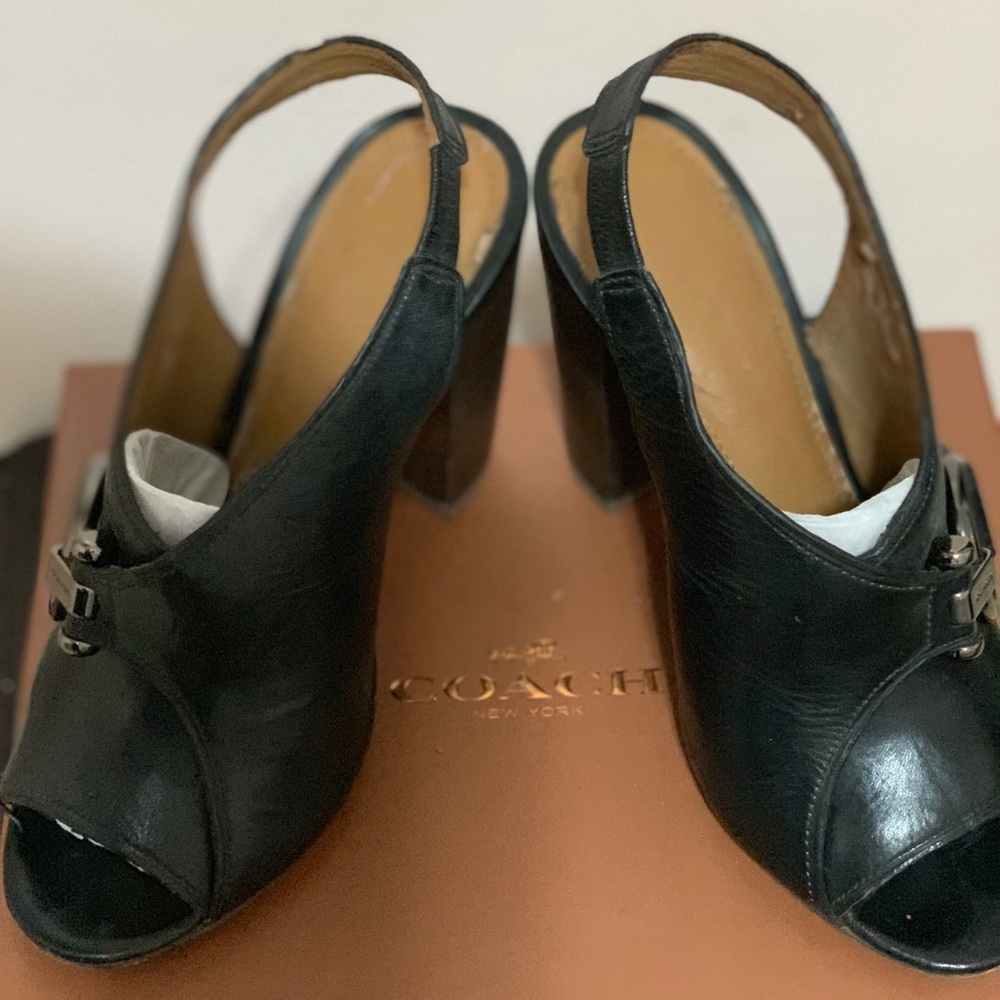 Coach Sherry Semi Matte Calf with original box
